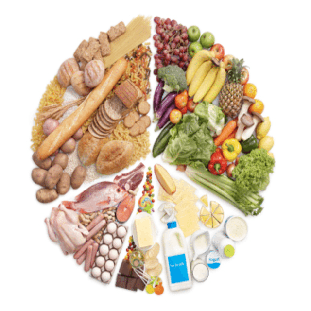 Macronutrients, Vitamins and Minerals 1170 School Food Handler